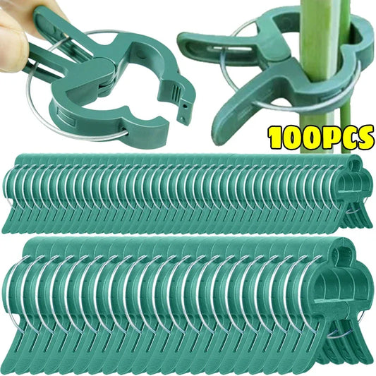 Reusable Plant Fixed Clips For Greenhouse Stems And Garden Fasteners