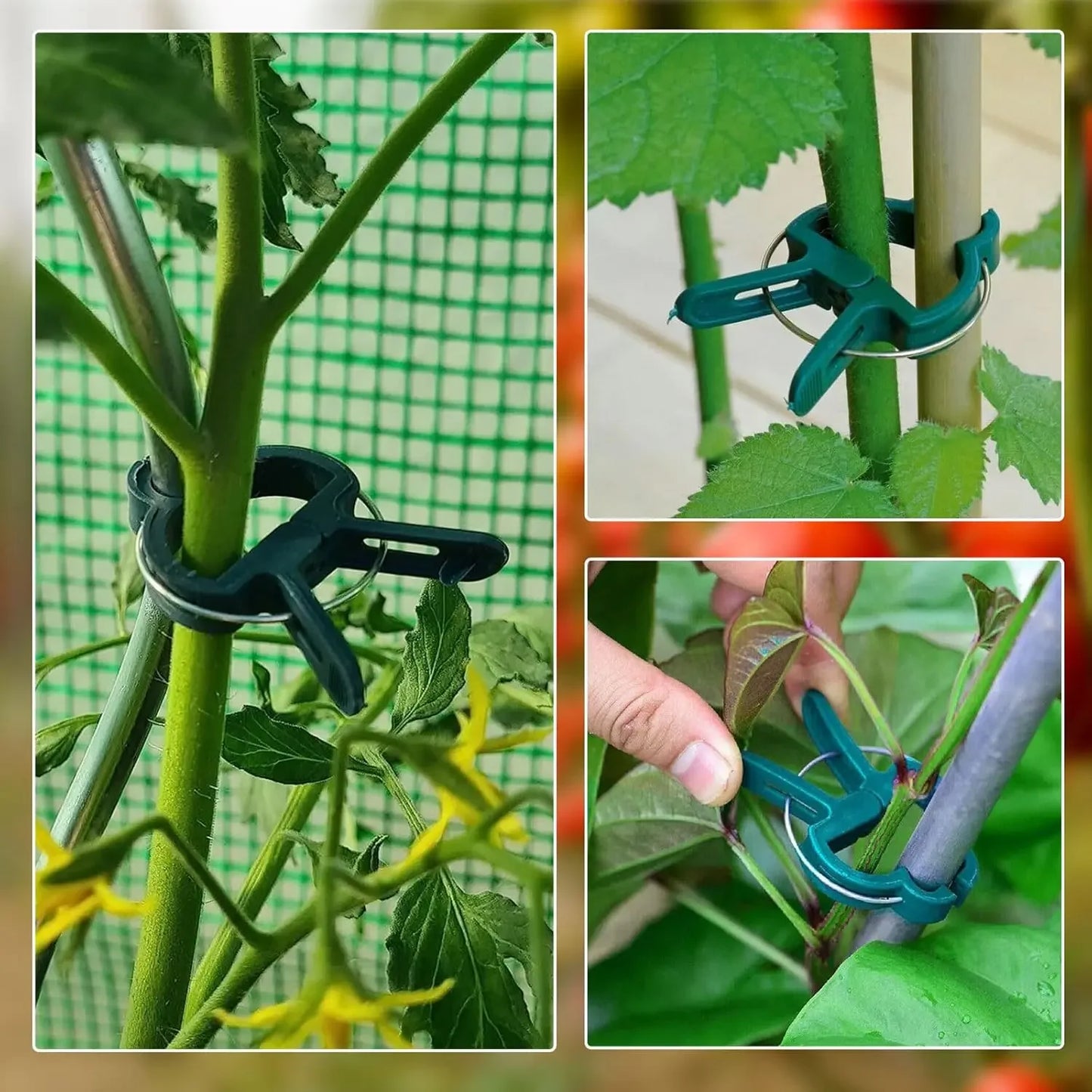 Reusable Plant Fixed Clips For Greenhouse Stems And Garden Fasteners