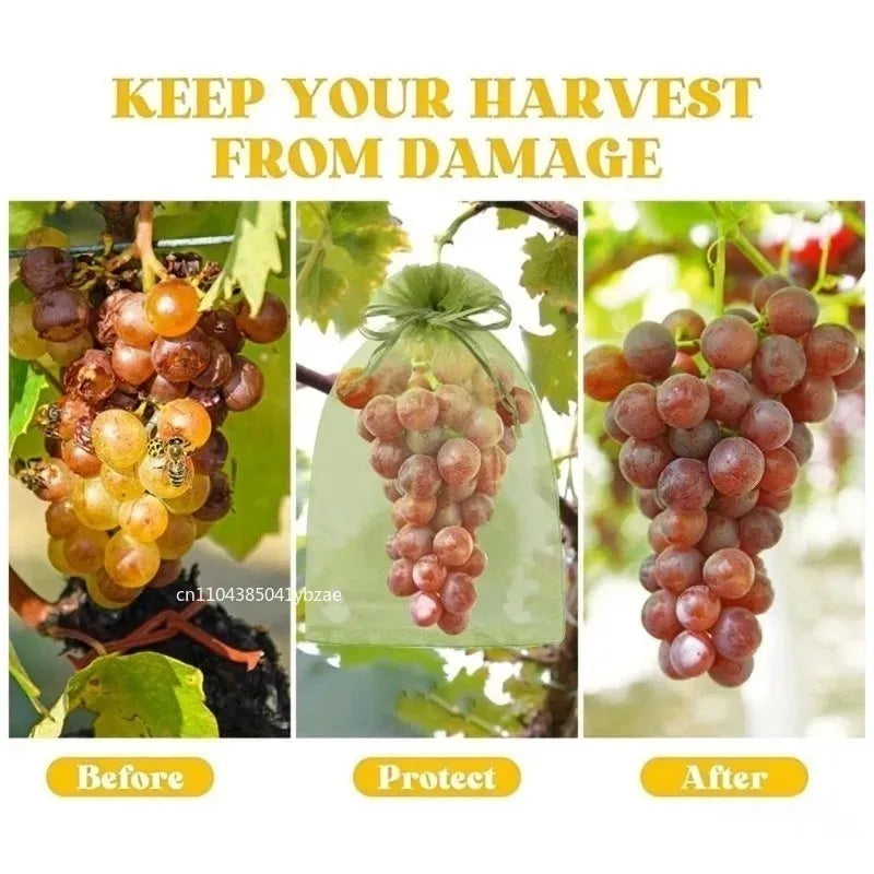 Reusable Fruit Insect Proof Drawstring Bags for Fruit Trees