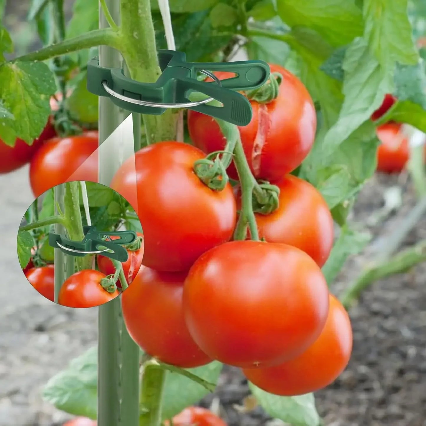 Reusable Plant Fixed Clips For Greenhouse Stems And Garden Fasteners